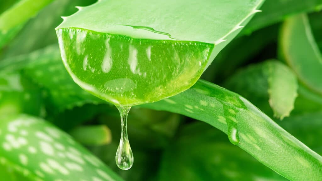 Cosmétique naturel made in france