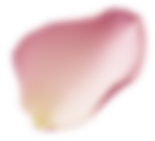 Lotion Douceur Trio d'Algues et Eau de Rose 2