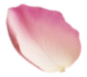 Lotion Douceur Trio d'Algues et Eau de Rose 1