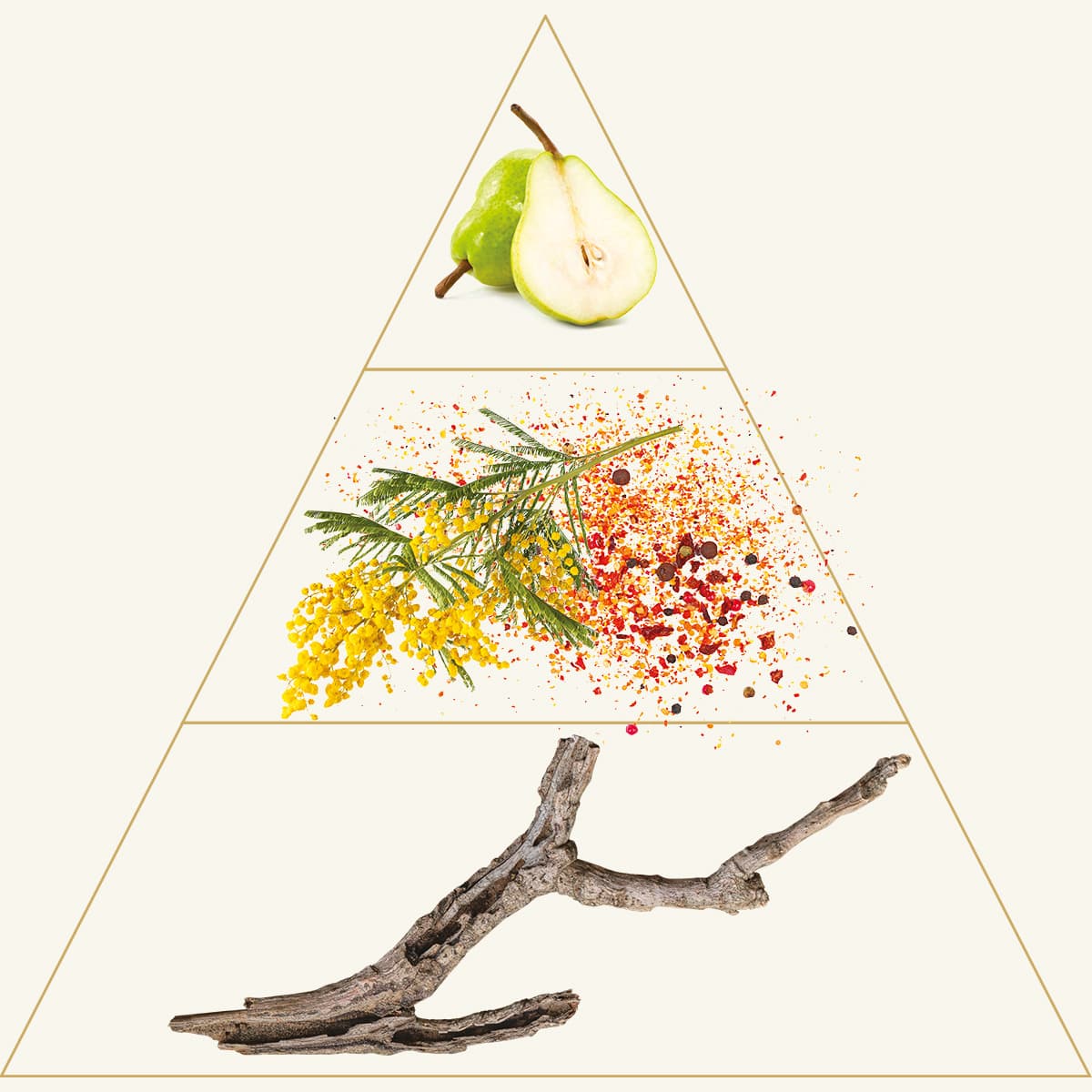 Pyramide sensorielle