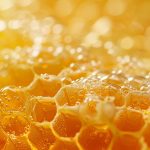 Ingrédient Cire d'abeille