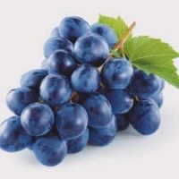 tocopherol-et-procyanidins-issus-du-raisin